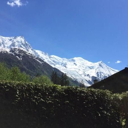 Studio Au Calme Avec Jardin Et Vue Mont-Blanc Chamonix ภายนอก รูปภาพ