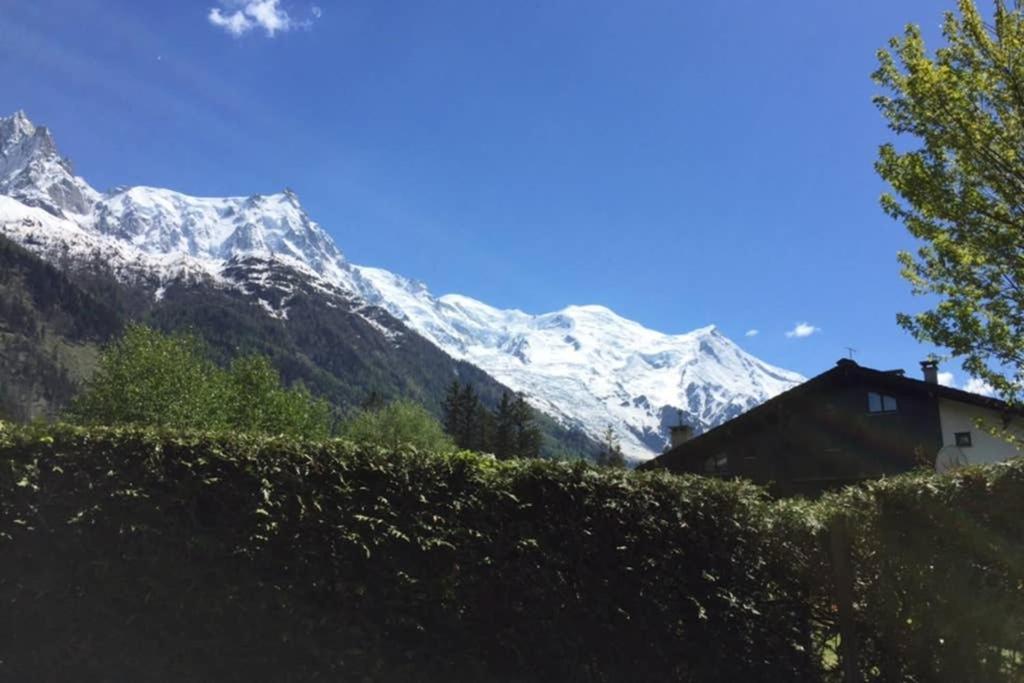 Studio Au Calme Avec Jardin Et Vue Mont-Blanc Chamonix ภายนอก รูปภาพ