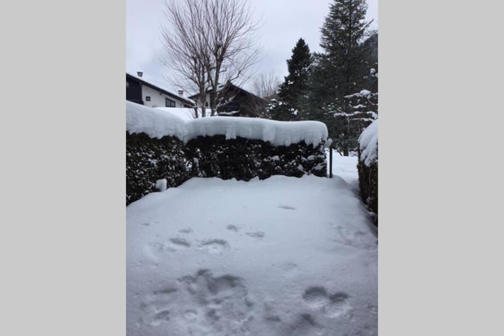 Studio Au Calme Avec Jardin Et Vue Mont-Blanc Chamonix ภายนอก รูปภาพ