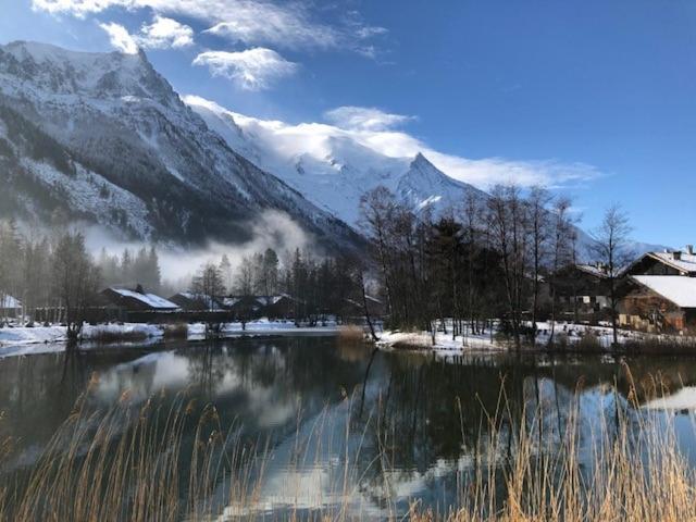 Studio Au Calme Avec Jardin Et Vue Mont-Blanc Chamonix ภายนอก รูปภาพ