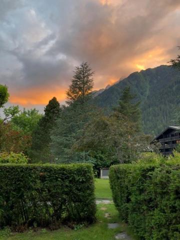 Studio Au Calme Avec Jardin Et Vue Mont-Blanc Chamonix ภายนอก รูปภาพ