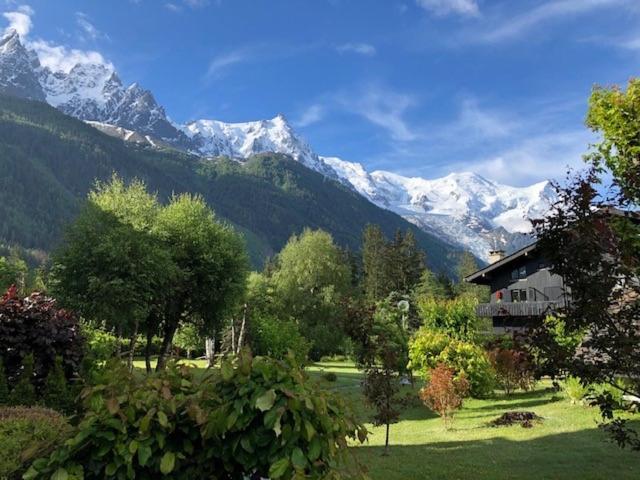 Studio Au Calme Avec Jardin Et Vue Mont-Blanc Chamonix ภายนอก รูปภาพ